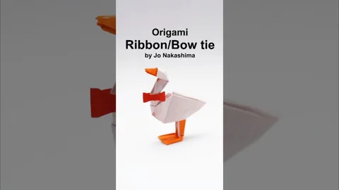 RIBBON/BOW TIE
