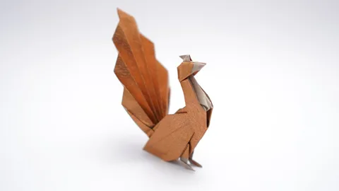 PEACOCK v2