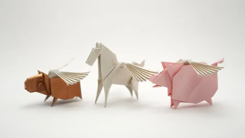 Wings For Pegasus, Capivara Carteira Etc