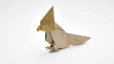 Cockatiel