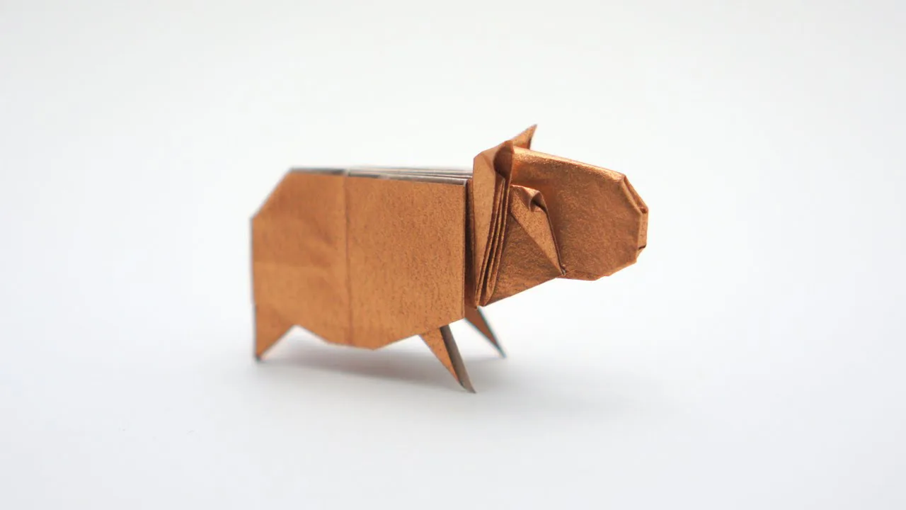 Capybara / Guinea Pig