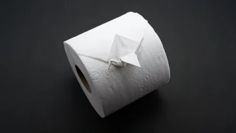 TOILET PAPER CRANE - April fool's day #3