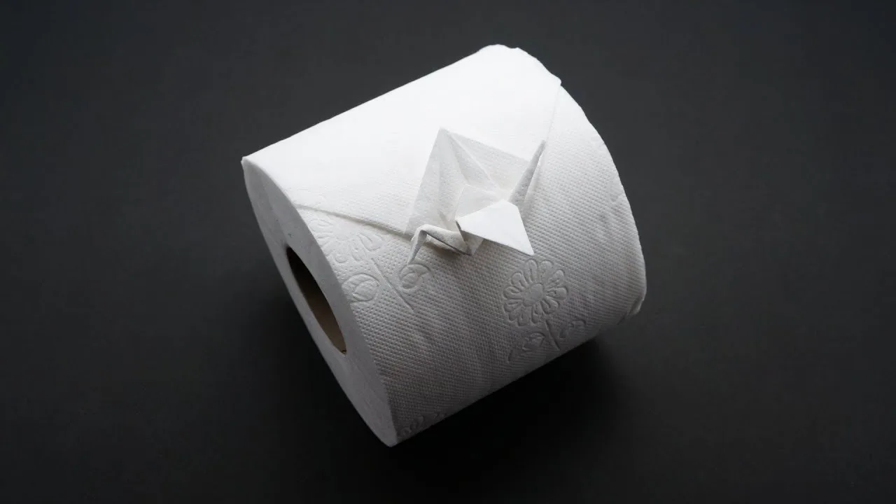 TOILET PAPER CRANE - April fool's day #3