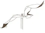 Seagull - balancing