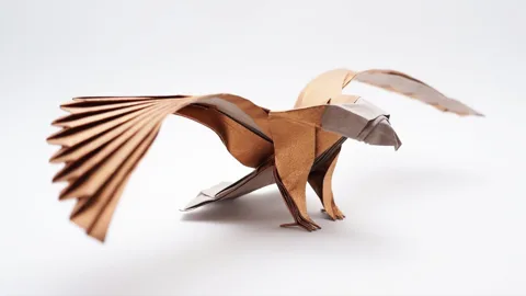 AMERICAN EAGLE v2