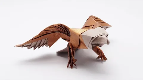 American Eagle