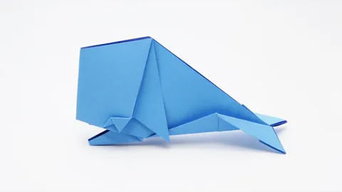 Whale