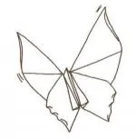 Butterfly - flapping