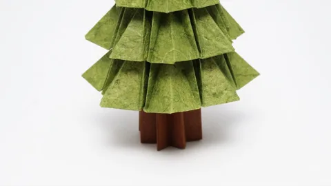 Tree Trunk