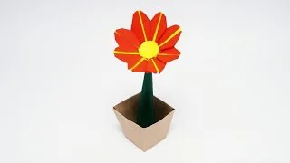 Daisy Flower