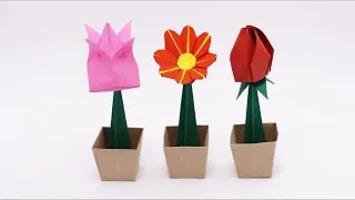 Flower Pot
