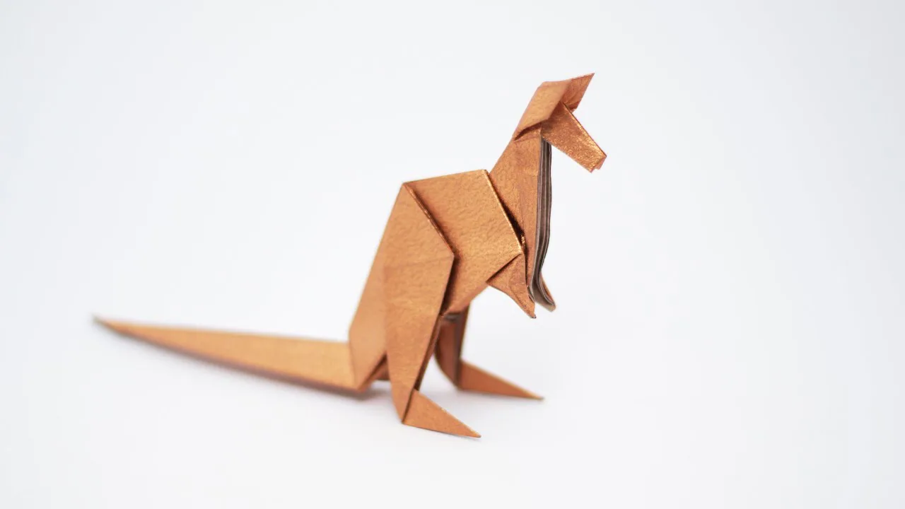 Kangaroo