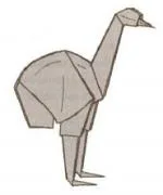 Ostrich