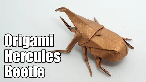 Hercules Beetle