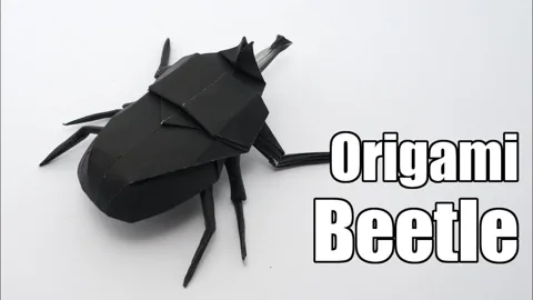 Beetle