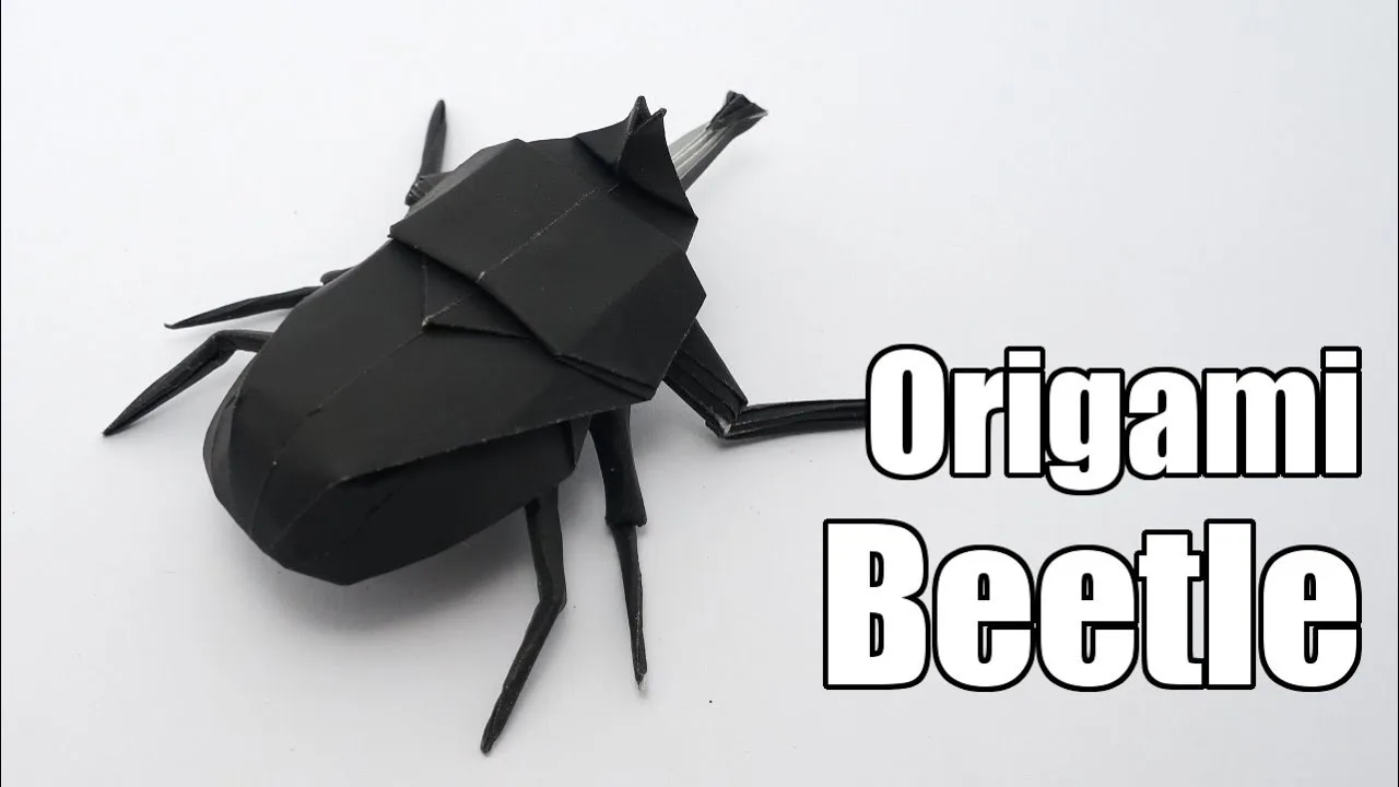 Beetle