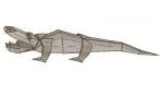 Alligator