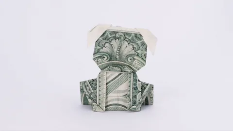 Money Dog