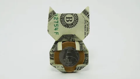 Money Cat