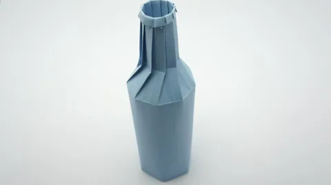 Bottle