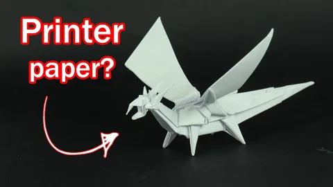Pocket dragon