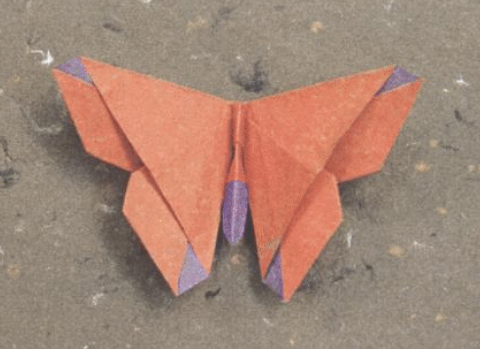 Butterfly - Alice Gray