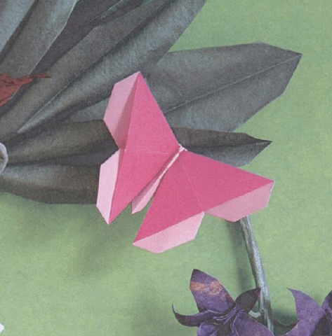 Butterfly - Emiko Kruckner