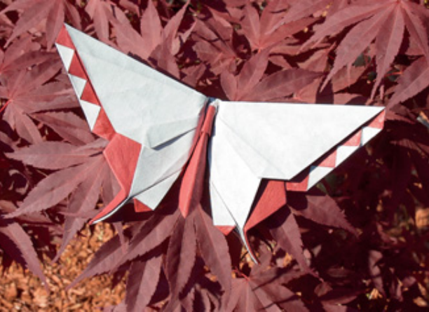 Butterfly - Makoto Yamaguchi