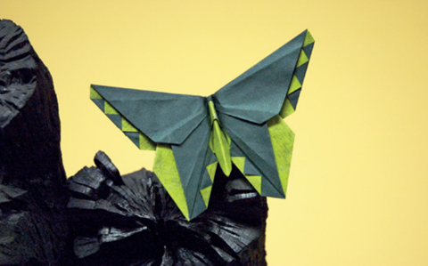 Butterfly - Vanessa Gould