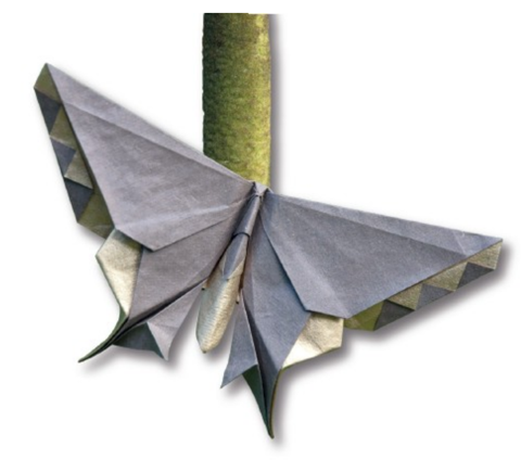 Butterfly - Robert Lang