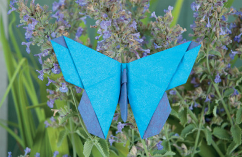 Butterfly - Kyoko Kondo