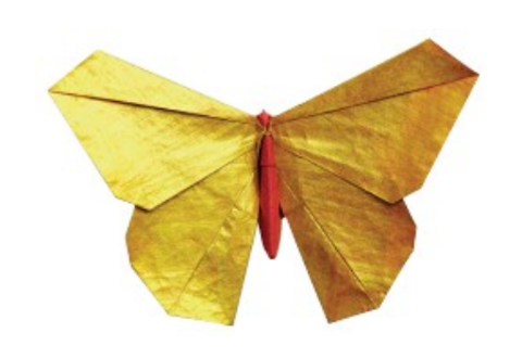 Butterfly - Origamido butterfly