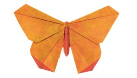 Butterfly - Origamido butterfly