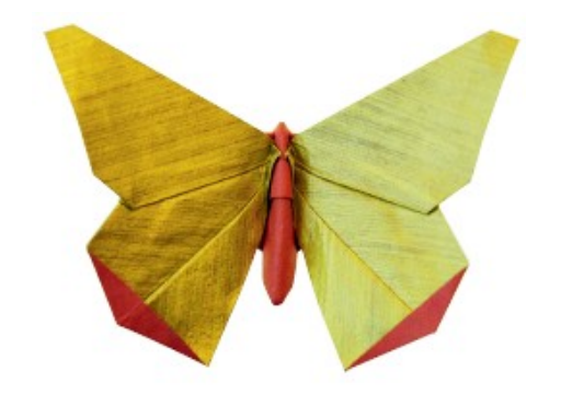 Butterfly - Doris Asano
