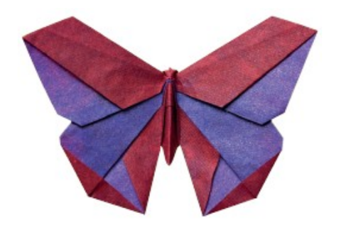 Butterfly - V'Ann