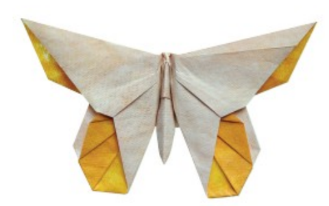 Butterfly - June Sakamoto