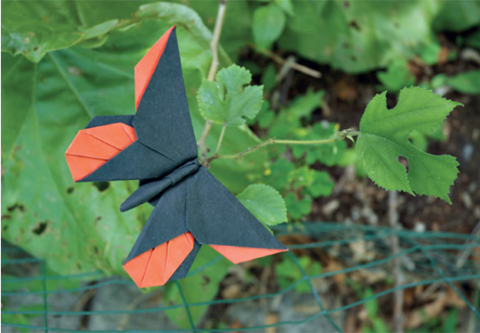 Butterfly - June Sakamoto