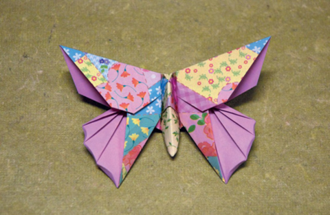 Butterfly - Kyoto