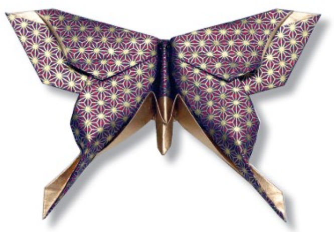 Moth - Mudarri Luna