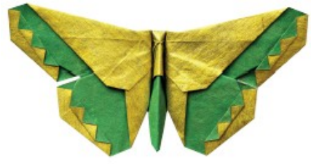 Butterfly - Russell Cashdollar