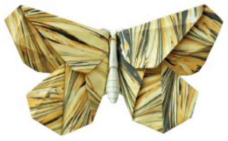 Le Papillon de Nuit