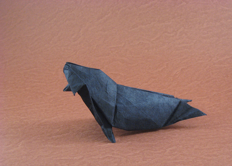 Monk Seal