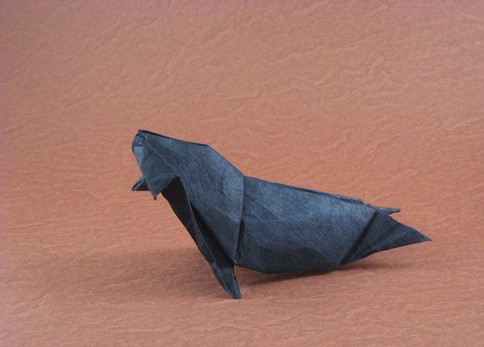 Monk Seal