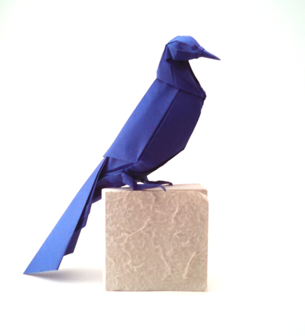 Grackle