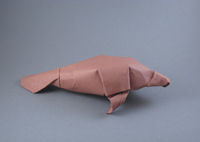 West Indian Manatee