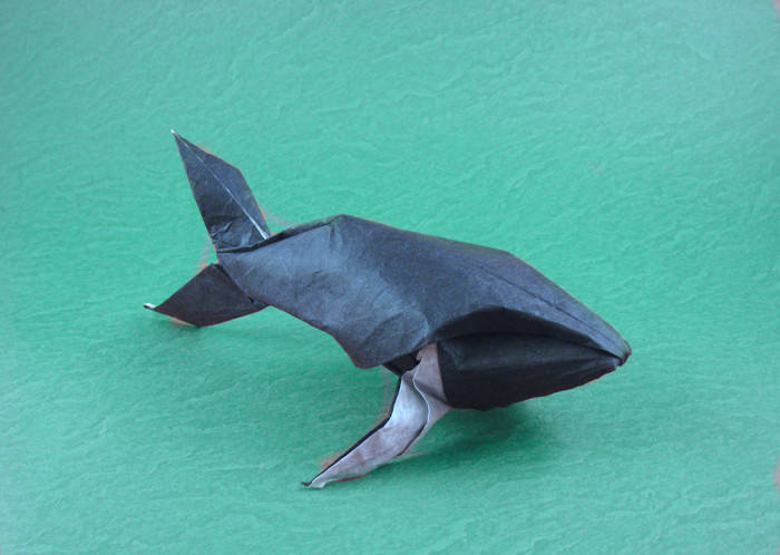 Humpback whale