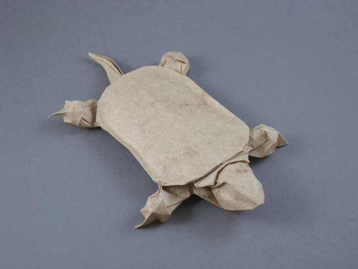 Pond turtle