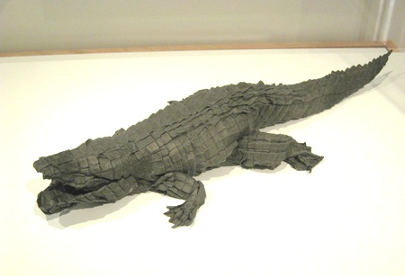 Alligator - American