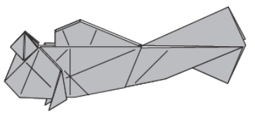 Mudskipper