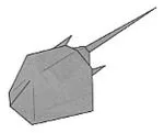 Horseshoe crab